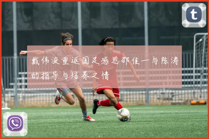 戴伟浚重返国足感恩邵佳一与陈涛的指导与培养之情